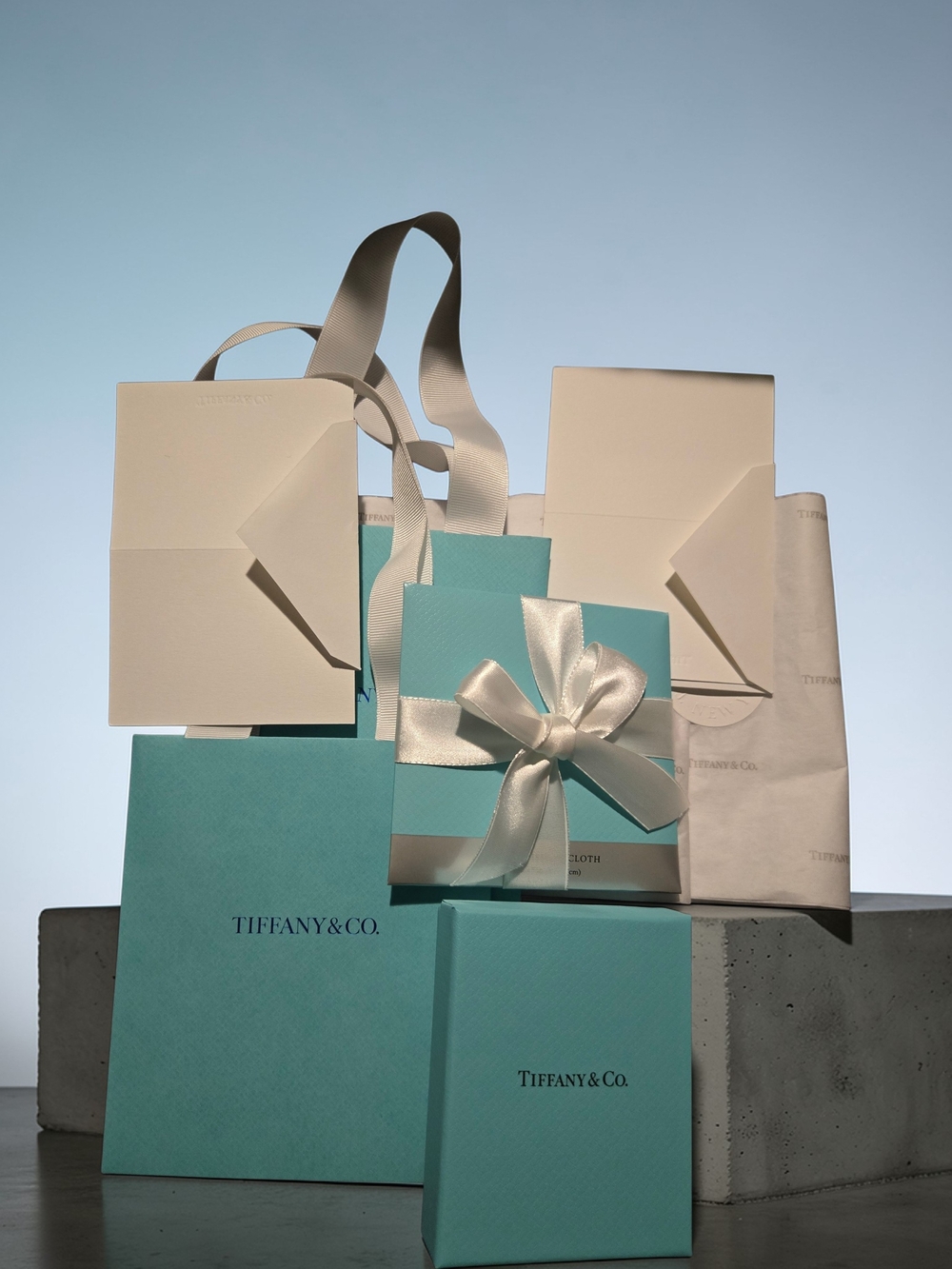 Tiffany & Co. Iconic 8 Piece Blue Gift Set With Cleaning Cloth